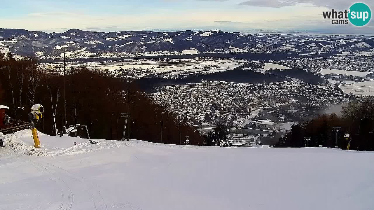 Webcam Pohorje Trikotna Jasa | Poštela