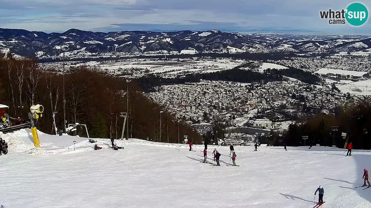 Webcam Pohorje Trikotna Jasa | Poštela