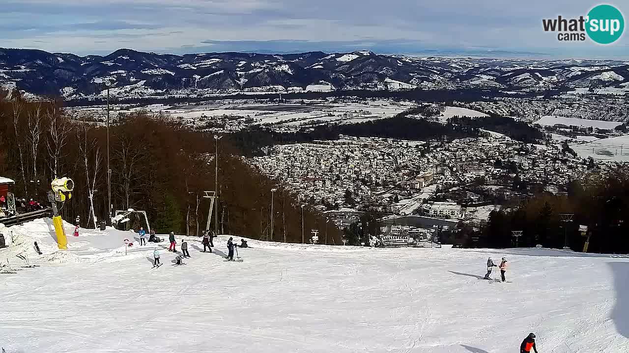 Webcam Pohorje Trikotna Jasa | Poštela