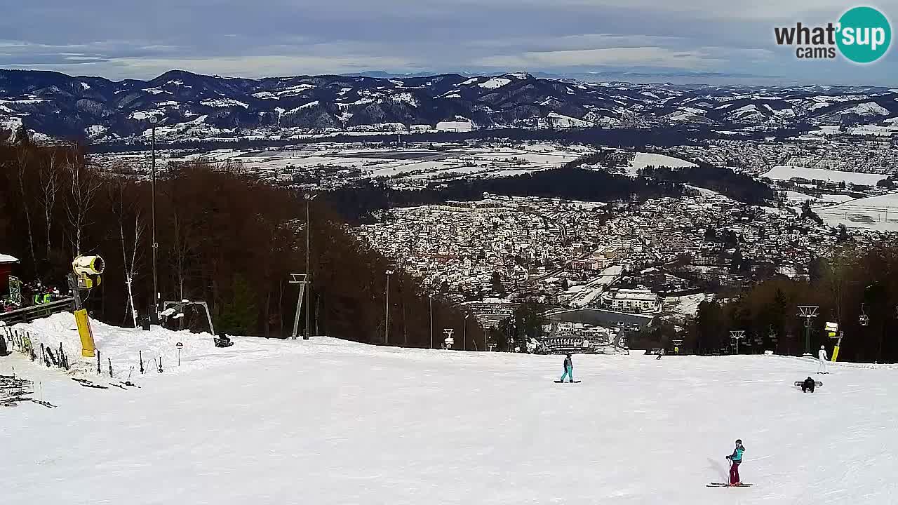 Webcam Pohorje Trikotna Jasa | Poštela