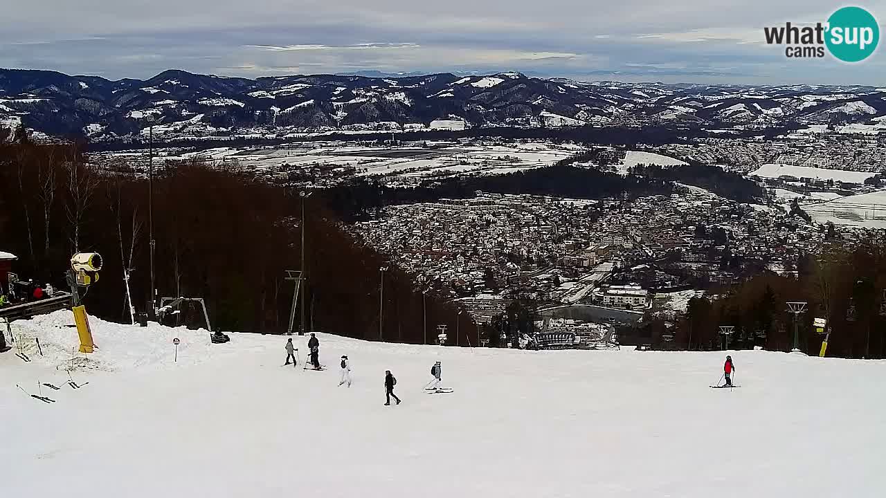 Webcam Pohorje Trikotna Jasa | Poštela