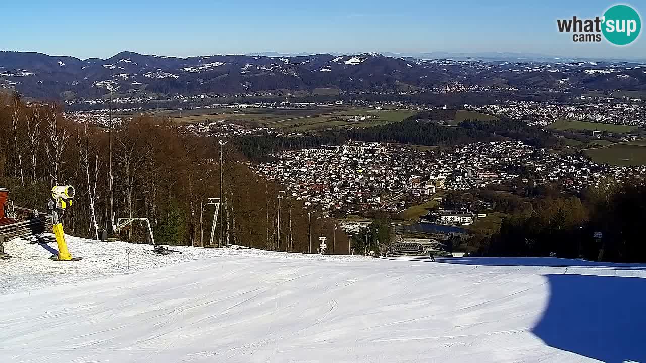 Webcam Pohorje Trikotna Jasa | Poštela