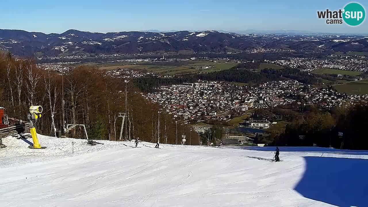 Webcam Pohorje Trikotna Jasa | Poštela