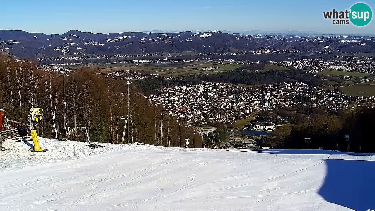 Webcam Pohorje Trikotna Jasa | Poštela
