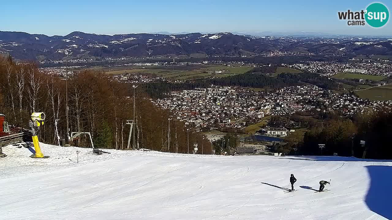 Webcam Pohorje Trikotna Jasa | Poštela