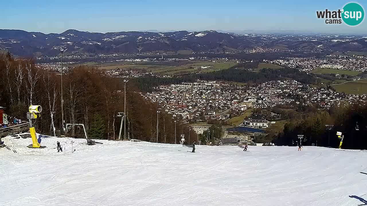 Webcam Pohorje Trikotna Jasa | Poštela