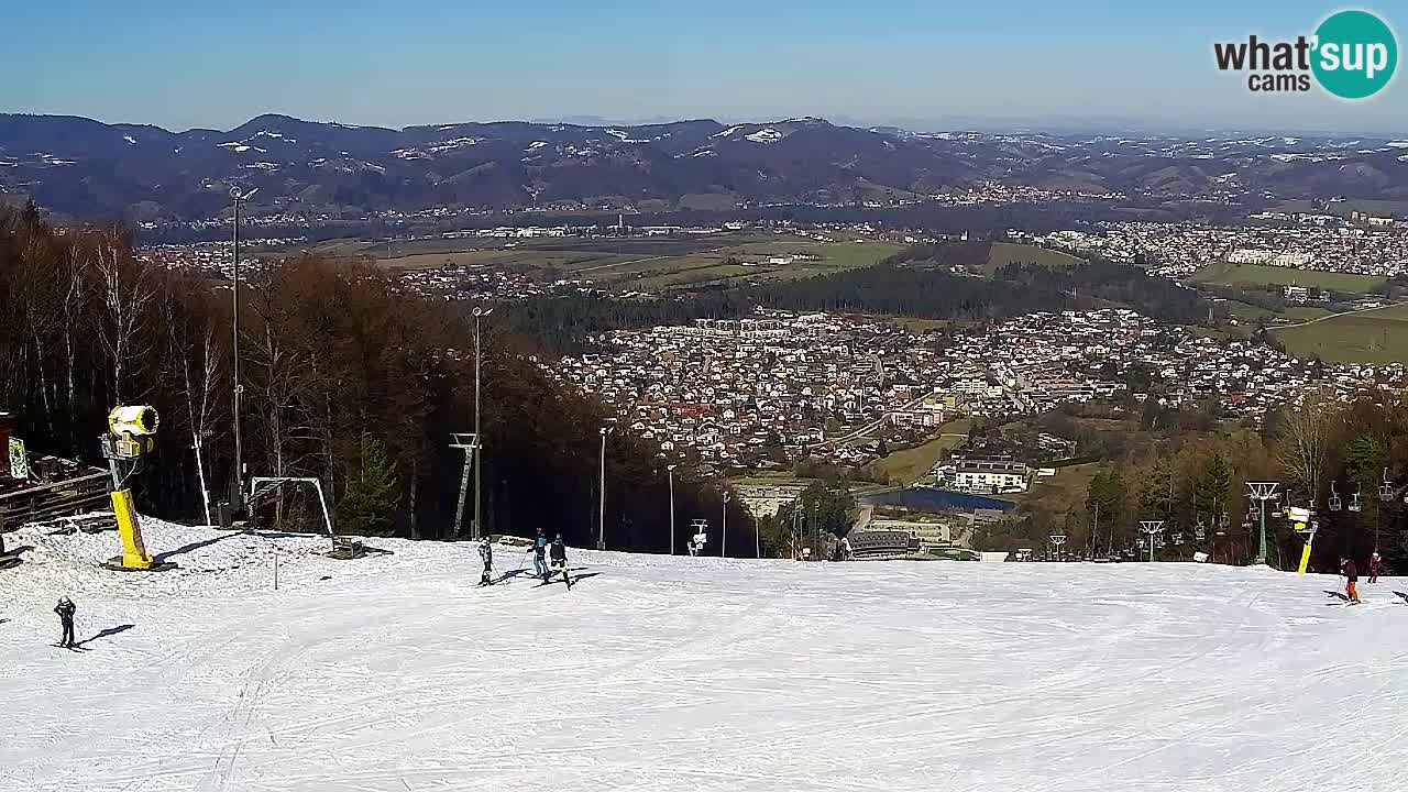 Webcam Pohorje Trikotna Jasa | Poštela