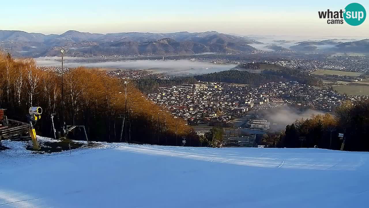 Webcam Pohorje Trikotna Jasa | Poštela