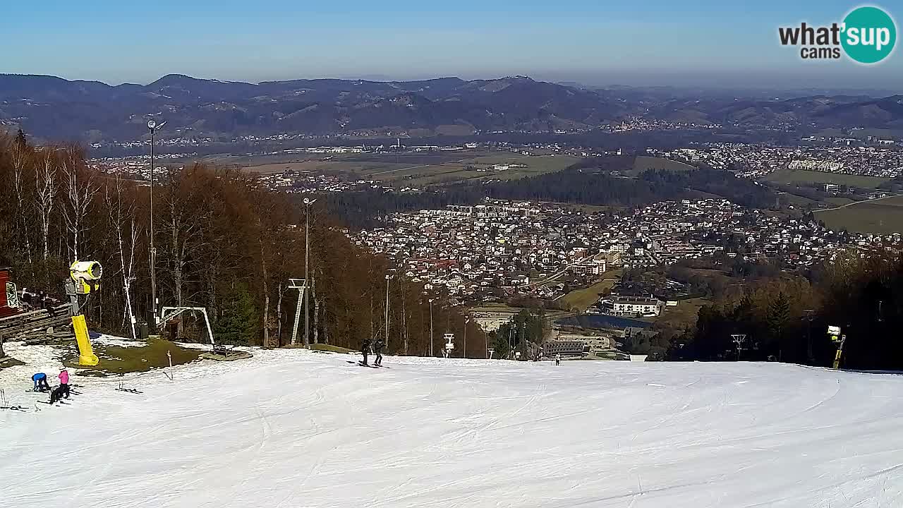 Webcam Pohorje Trikotna Jasa | Poštela