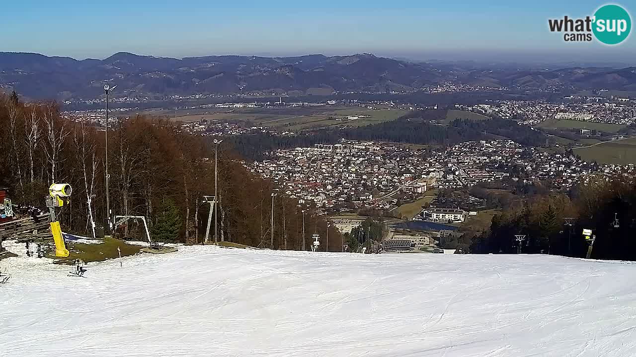 Webcam Pohorje Trikotna Jasa | Poštela