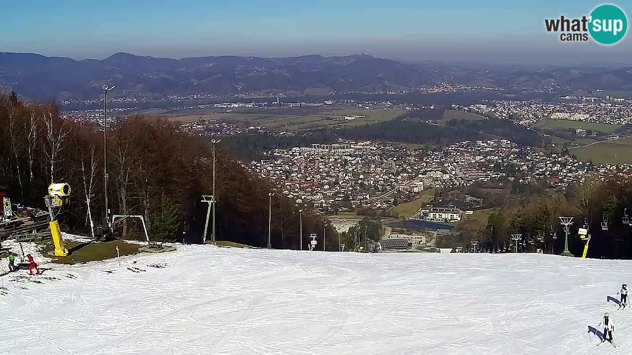 Web kamera Pohorje Trikotna Jasa | Poštela