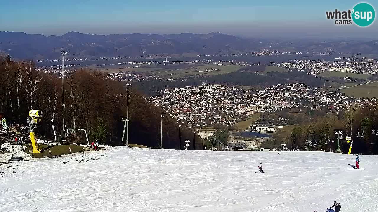 Webcam Pohorje Trikotna Jasa | Poštela