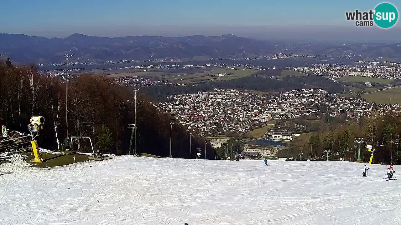 Web Camera Pohorje Trikotna Jasa | Poštela