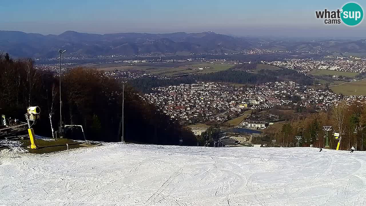 Web kamera Pohorje Trikotna Jasa | Poštela