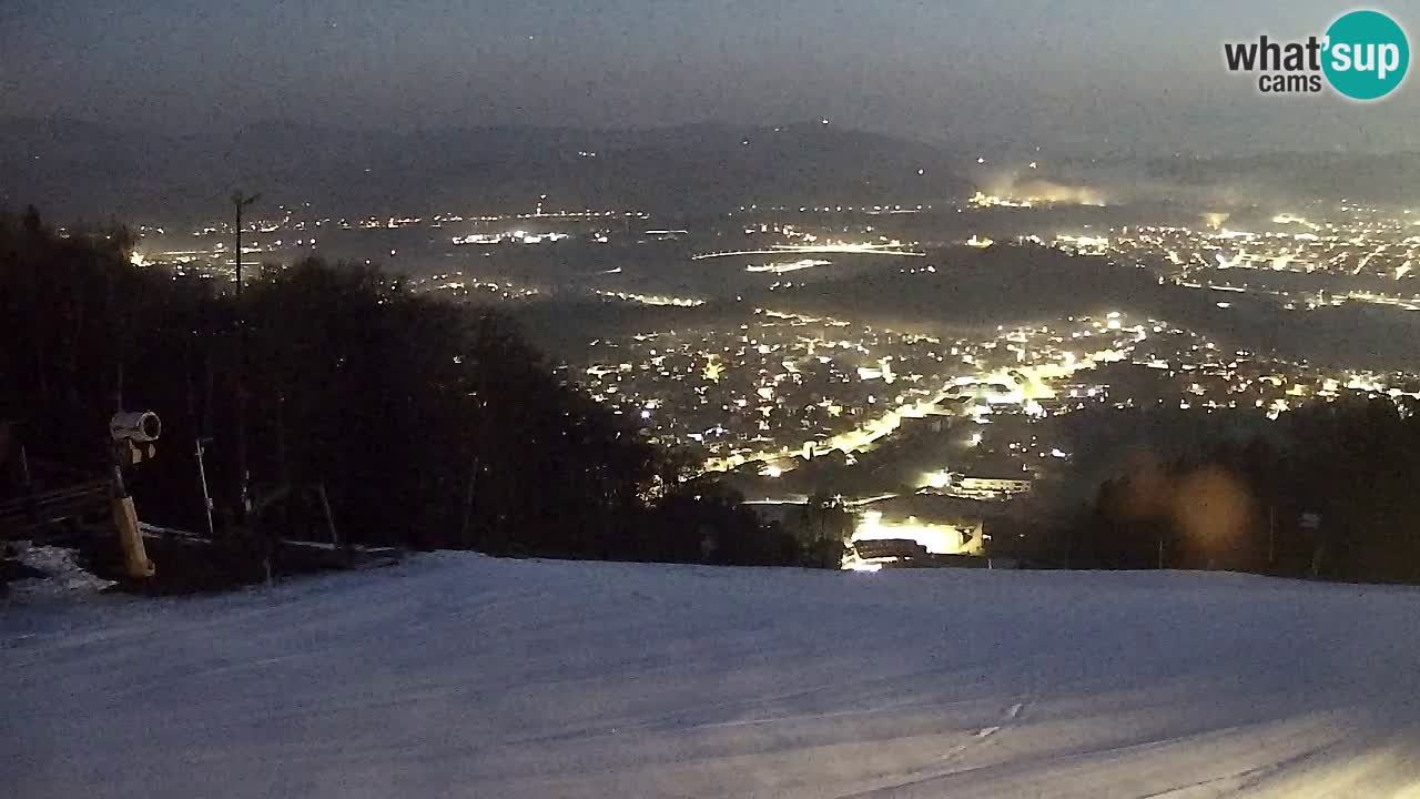 Webcam Pohorje Trikotna Jasa | Poštela