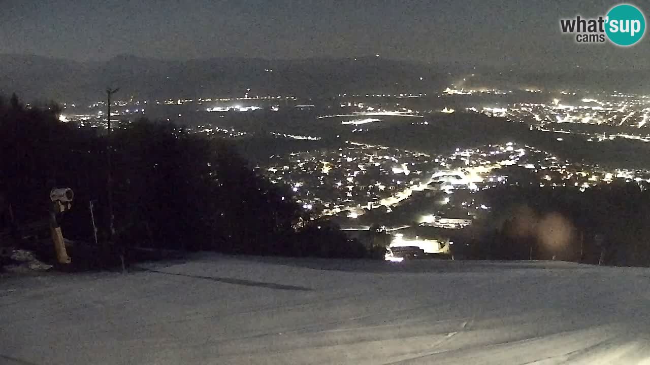 Webcam Pohorje Trikotna Jasa | Poštela