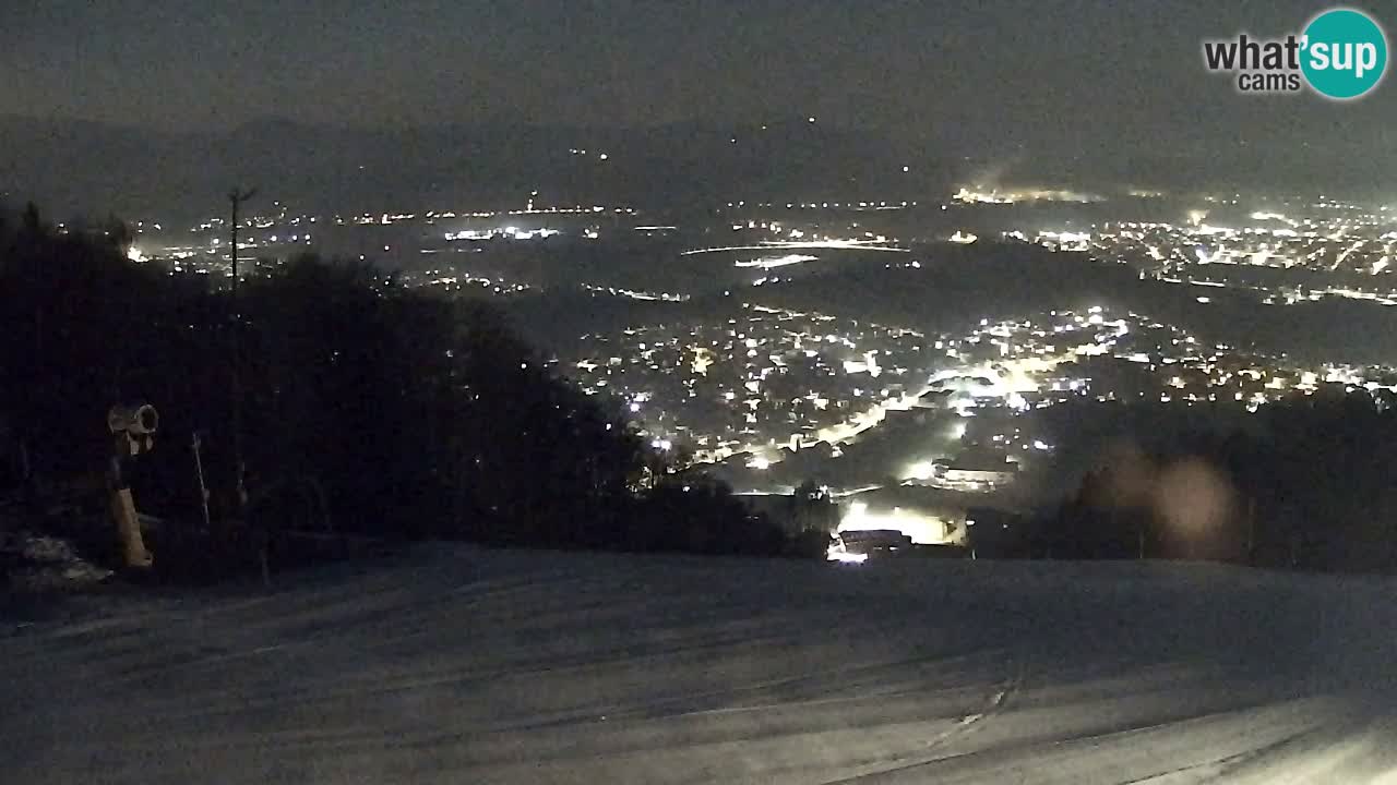 Webcam Pohorje Trikotna Jasa | Poštela