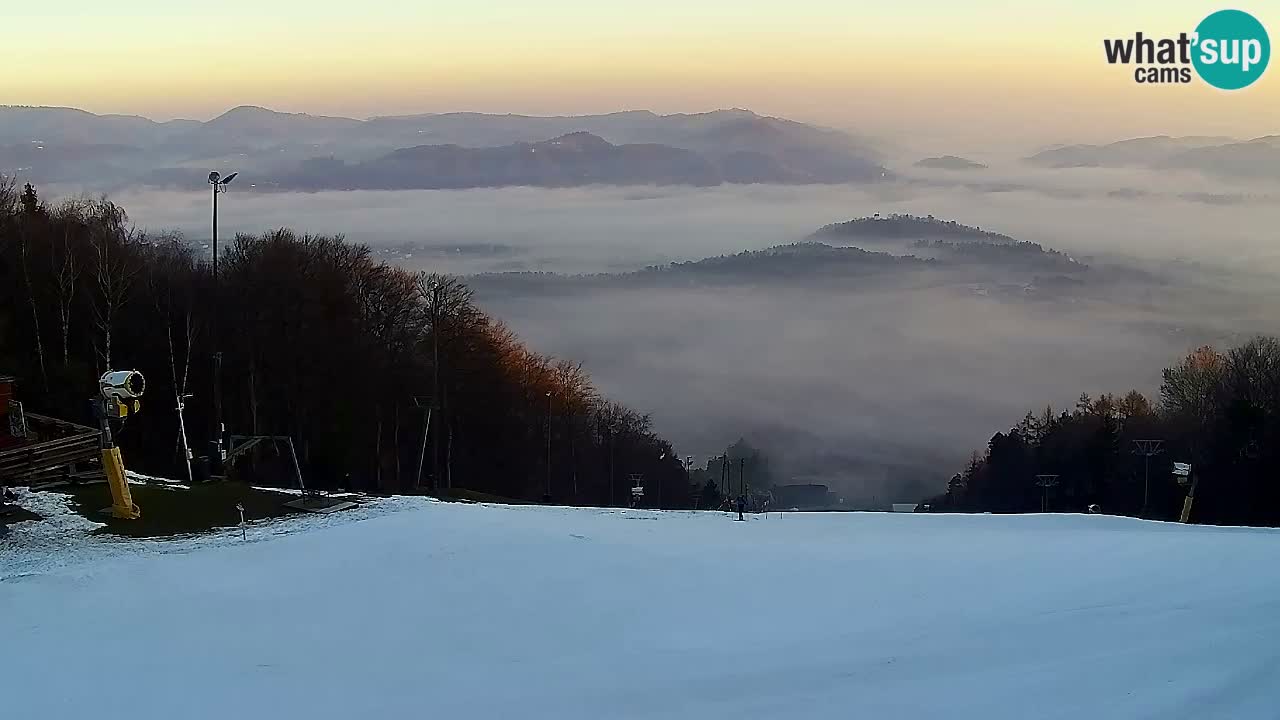 Webcam Pohorje Trikotna Jasa | Poštela