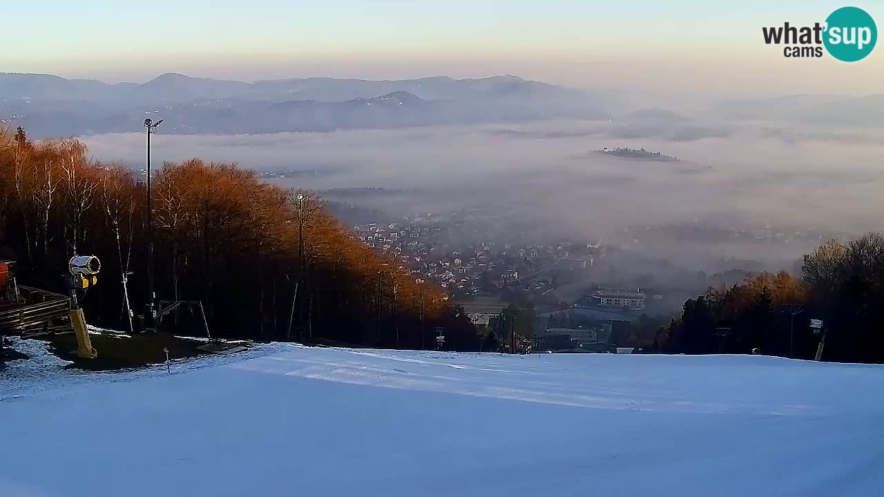 Webcam Pohorje Trikotna Jasa | Poštela