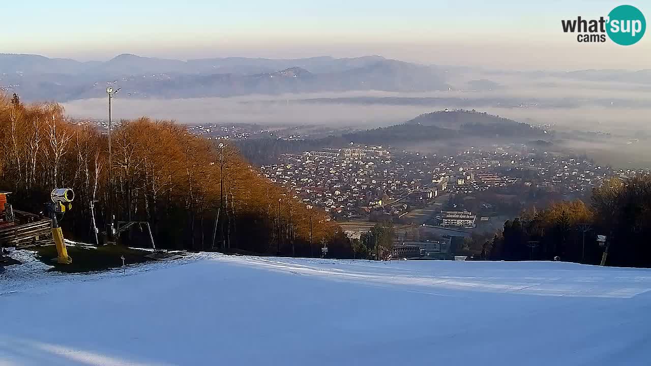 Web Camera Pohorje Trikotna Jasa | Poštela