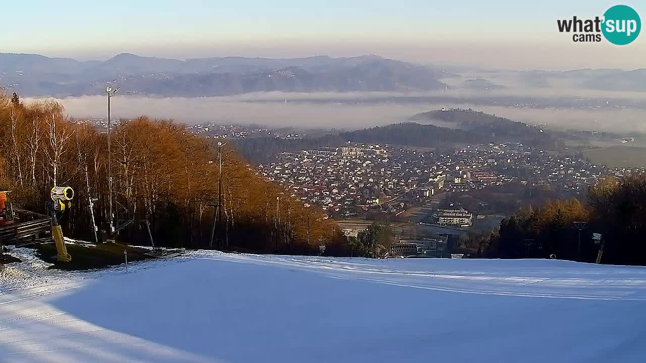 Webcam Pohorje Trikotna Jasa | Poštela
