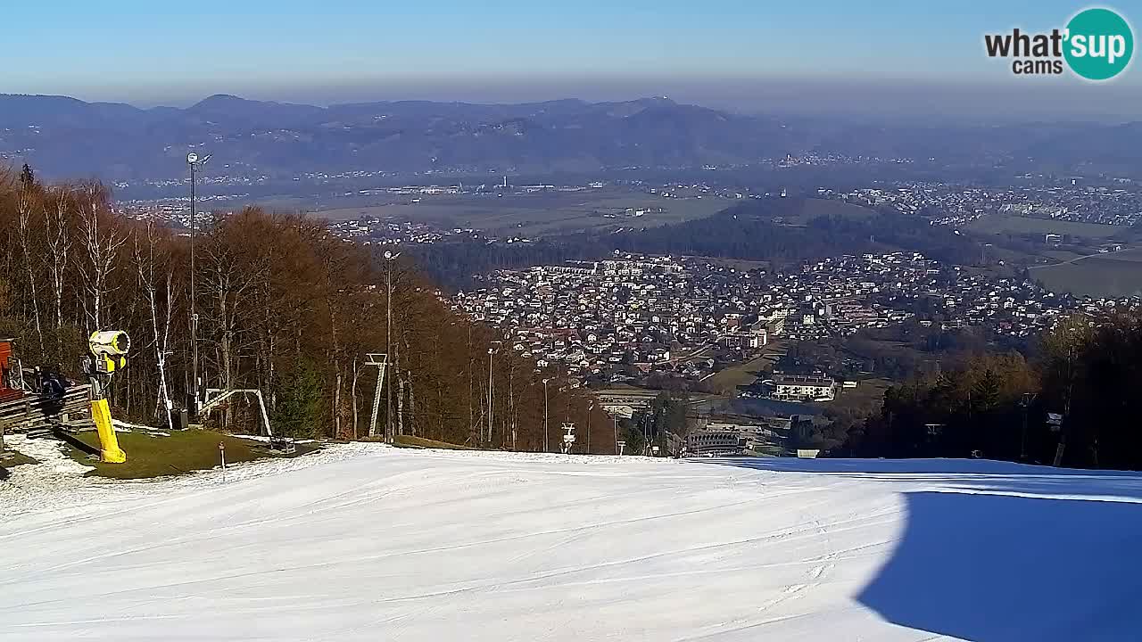 Webcam Pohorje Trikotna Jasa | Poštela