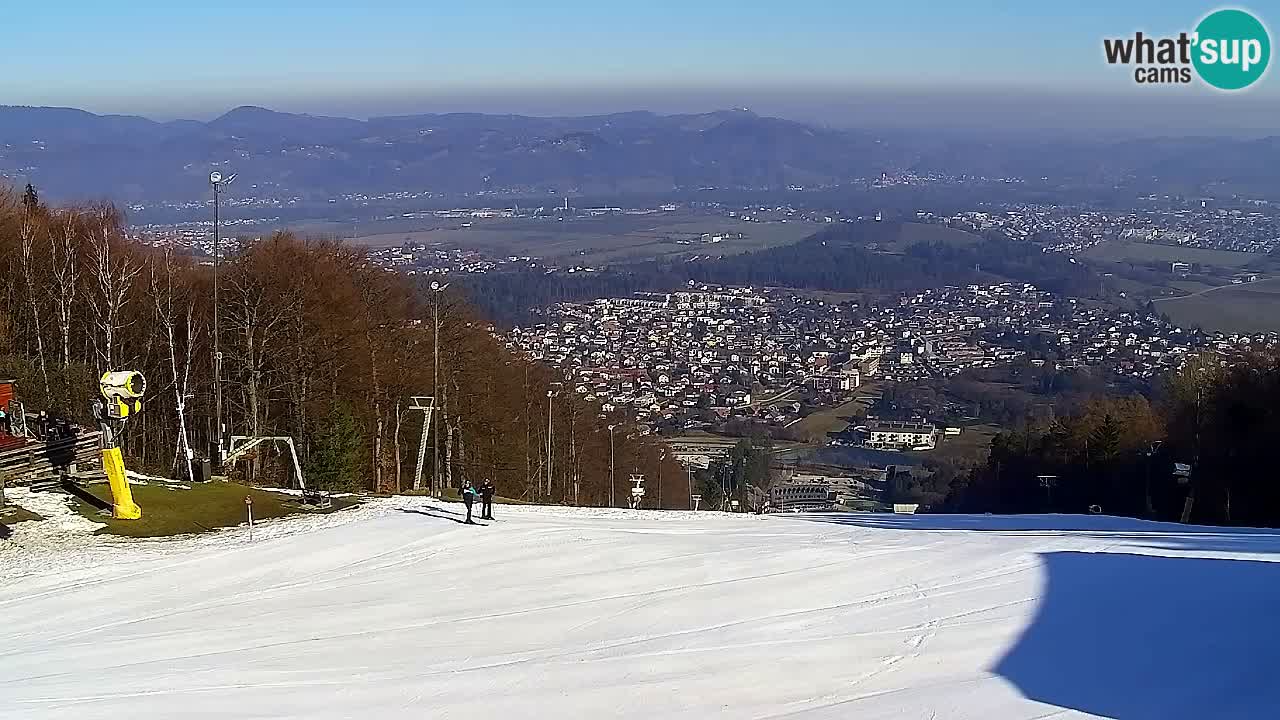 Webcam Pohorje Trikotna Jasa | Poštela