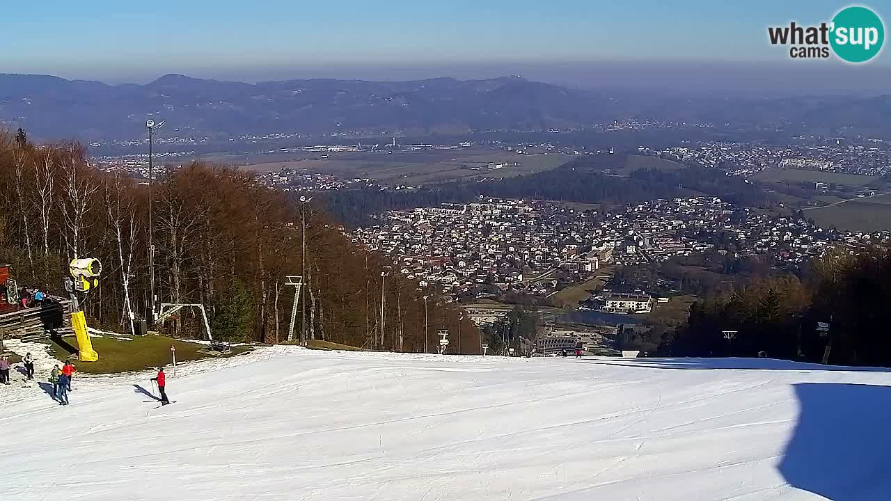 Webcam Pohorje Trikotna Jasa | Poštela