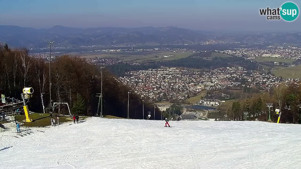 Webcam Pohorje Trikotna Jasa | Poštela