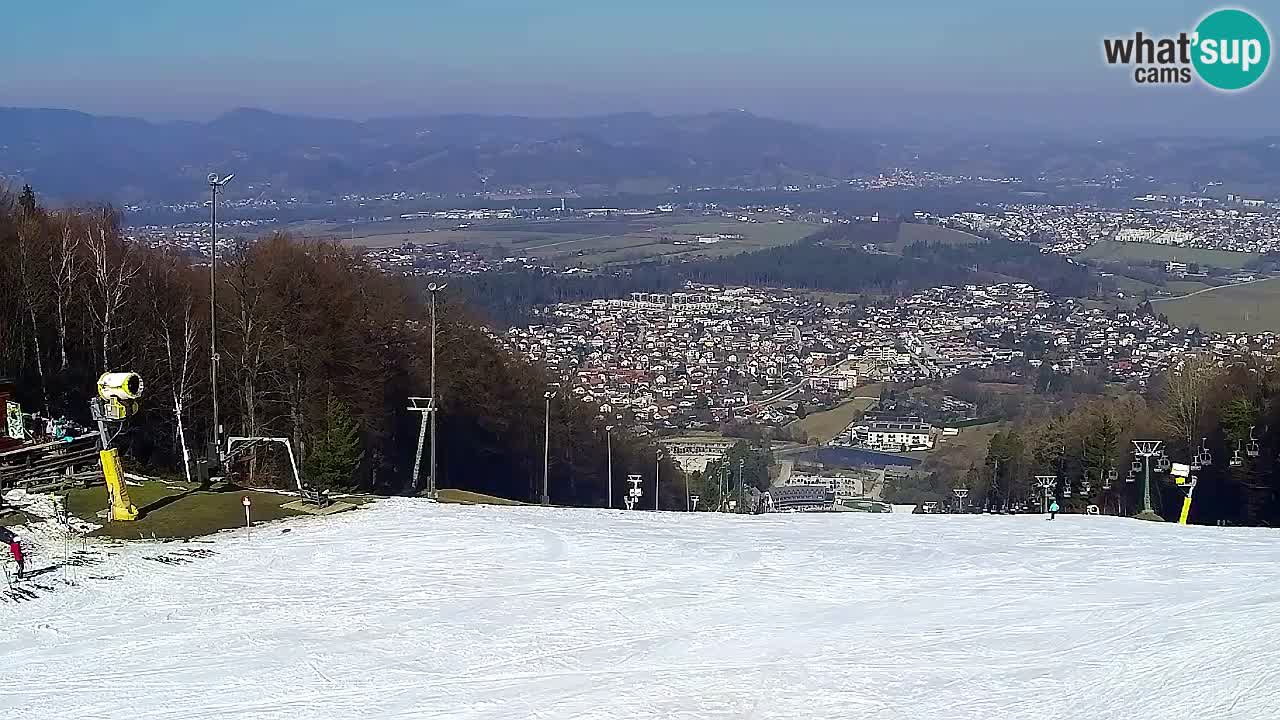 Webcam Pohorje Trikotna Jasa | Poštela