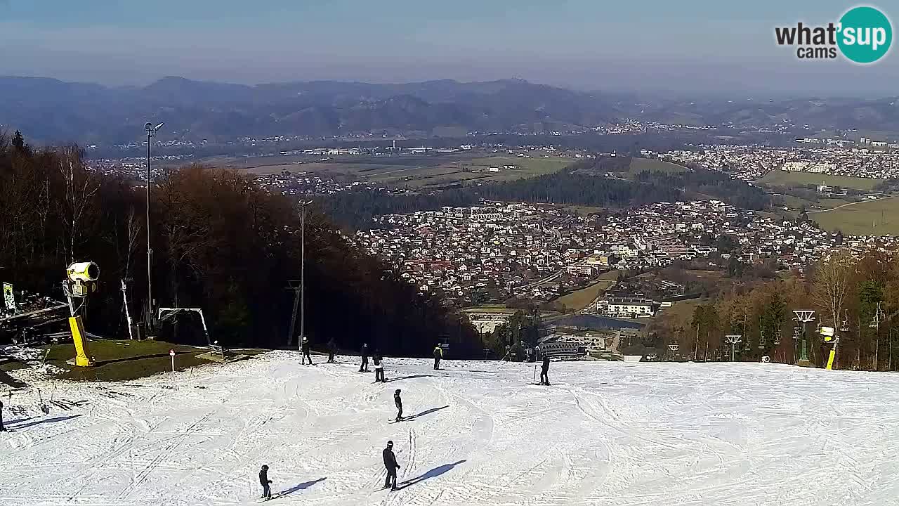 Web Camera Pohorje Trikotna Jasa | Poštela