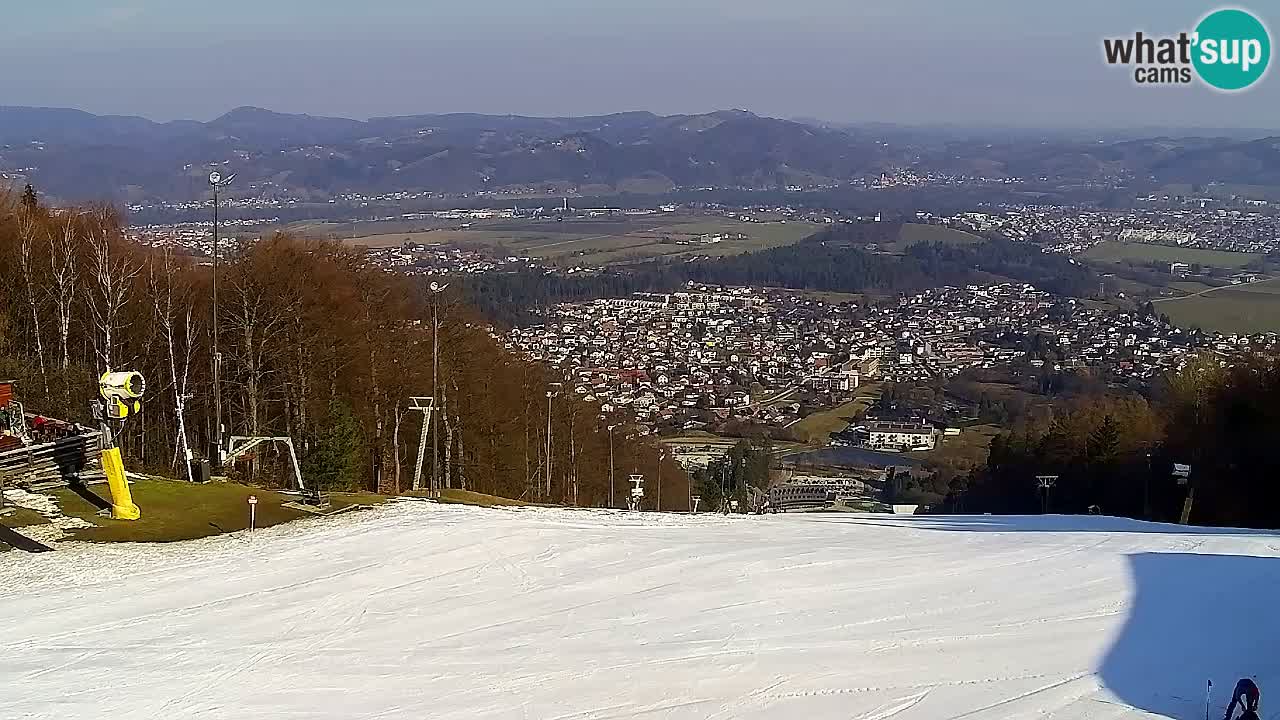 Webcam Pohorje Trikotna Jasa | Poštela
