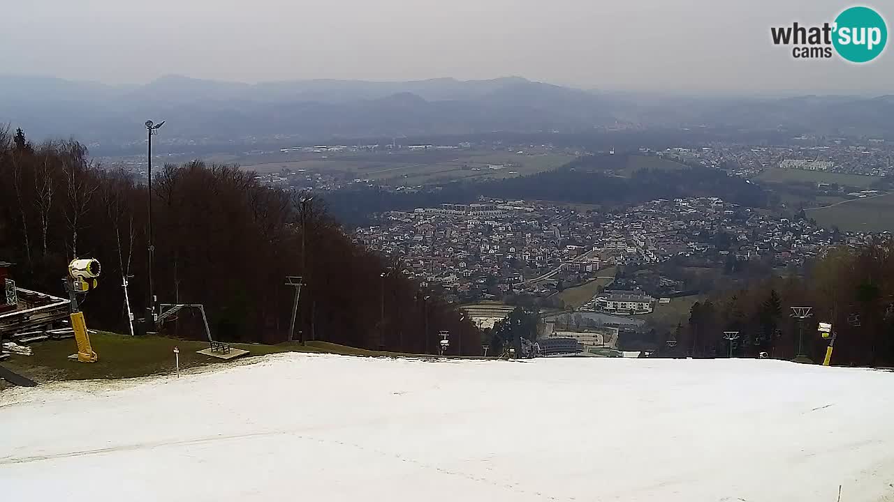 Webcam Pohorje Trikotna Jasa | Poštela