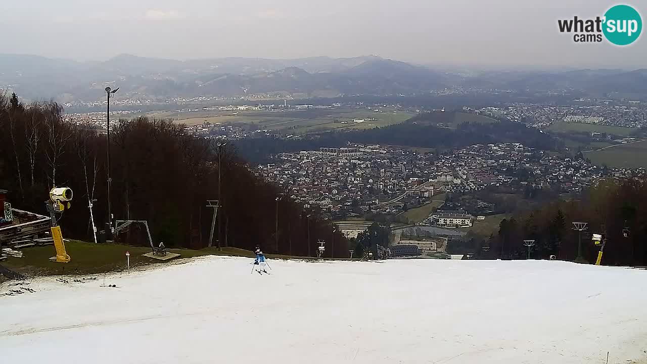 Webcam Pohorje Trikotna Jasa | Poštela