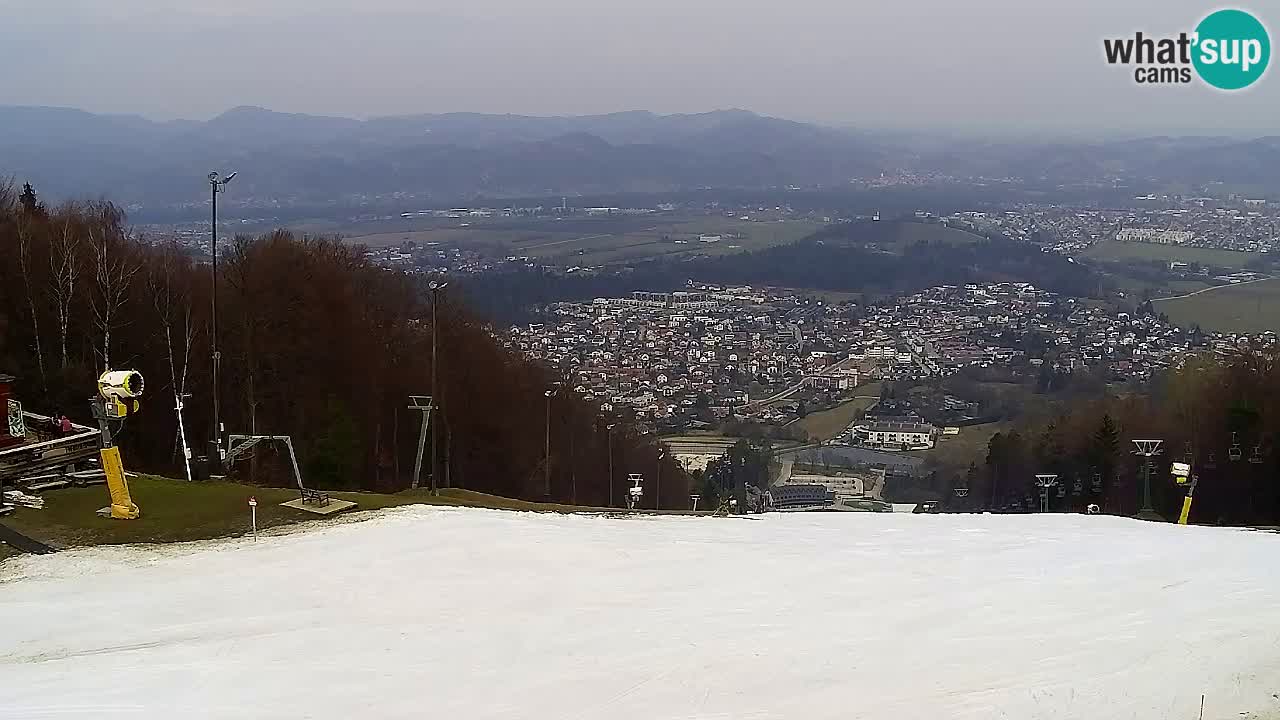 Webcam Pohorje Trikotna Jasa | Poštela