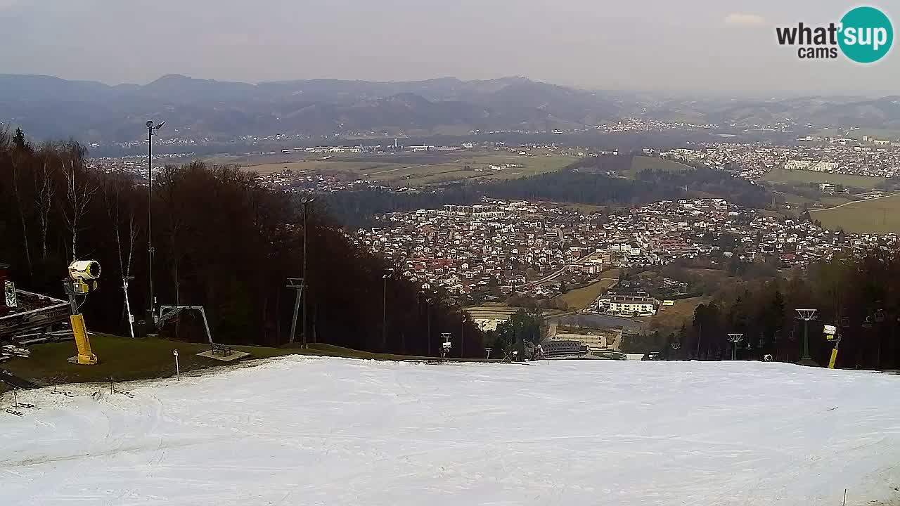 Webcam Pohorje Trikotna Jasa | Poštela