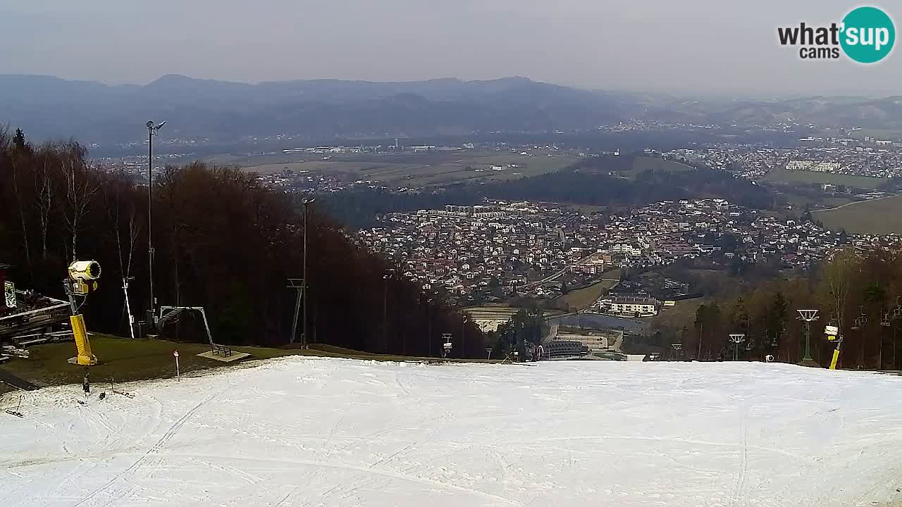 Webcam Pohorje Trikotna Jasa | Poštela