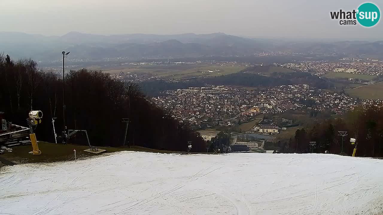 Webcam Pohorje Trikotna Jasa | Poštela