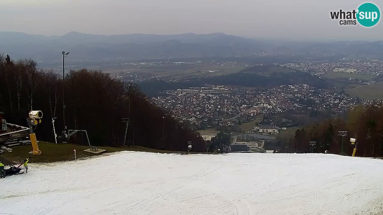 Webcam Pohorje Trikotna Jasa | Poštela