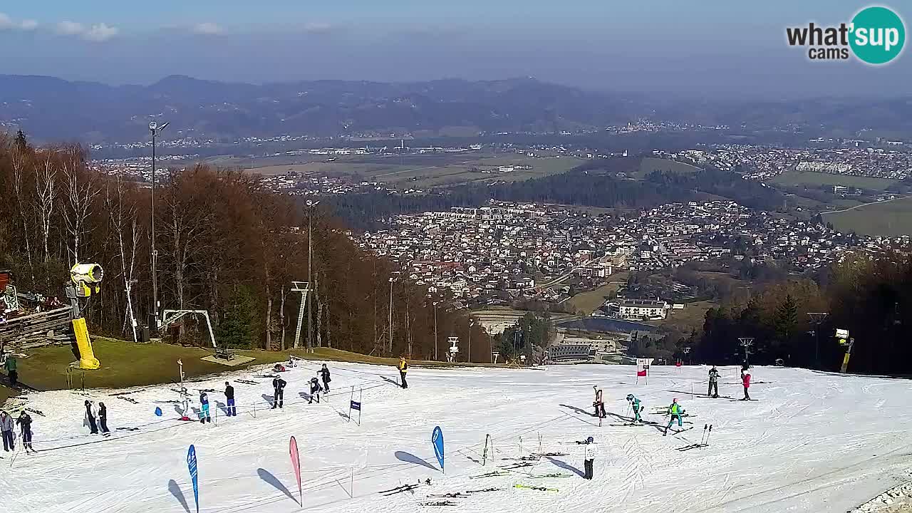 Webcam Pohorje Trikotna Jasa | Poštela