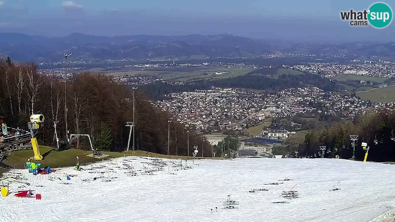 Webcam Pohorje Trikotna Jasa | Poštela
