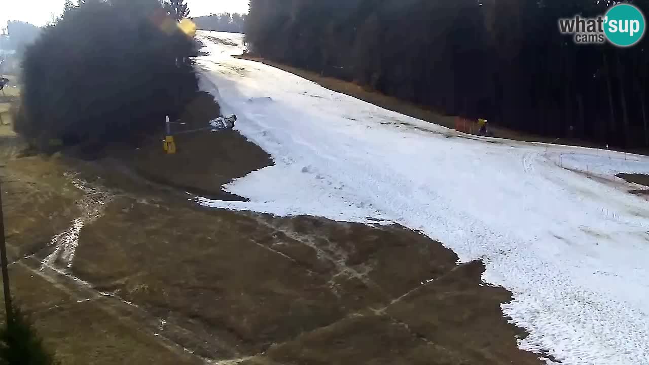 Webcam Pohorje Trikotna Jasa | Poštela