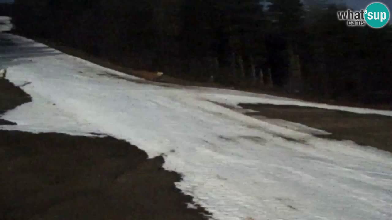 Webcam Pohorje Trikotna Jasa | Poštela