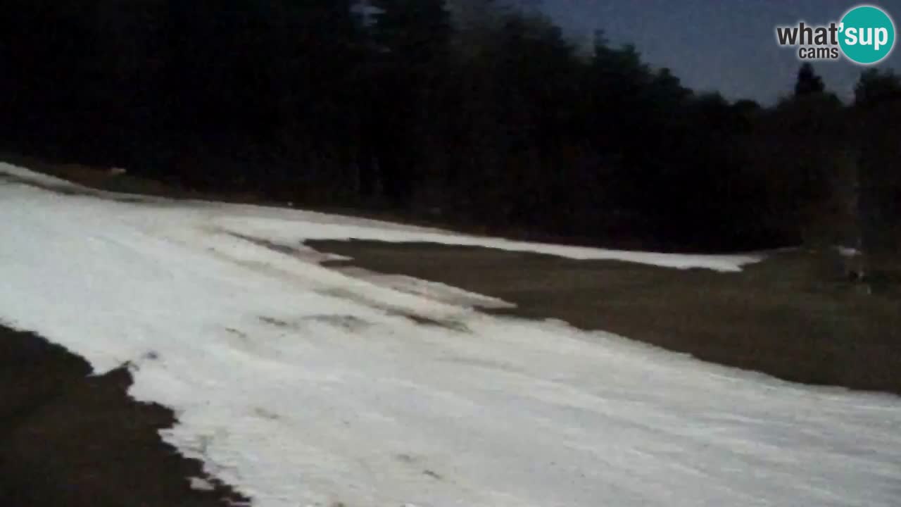 Spletna Kamera Pohorje Trikotna Jasa | Poštela