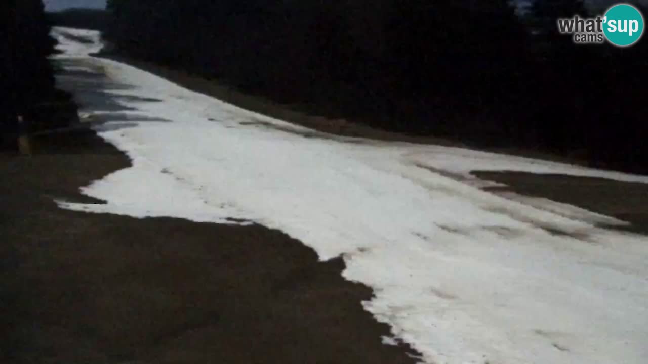 Spletna Kamera Pohorje Trikotna Jasa | Poštela