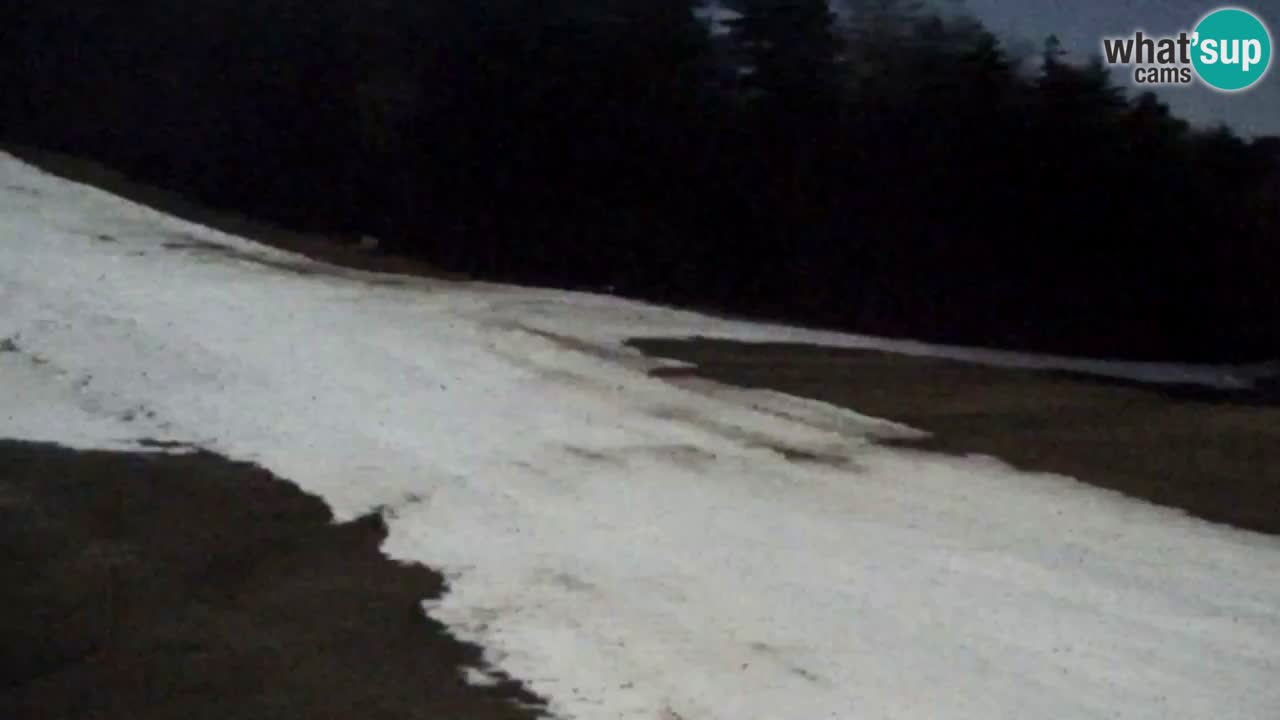 Spletna Kamera Pohorje Trikotna Jasa | Poštela