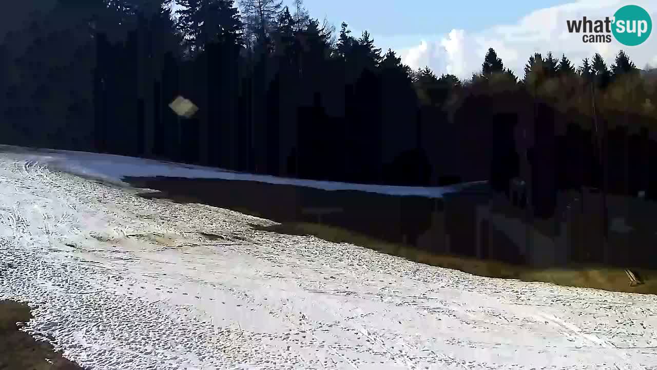 Web Camera Pohorje Trikotna Jasa | Poštela
