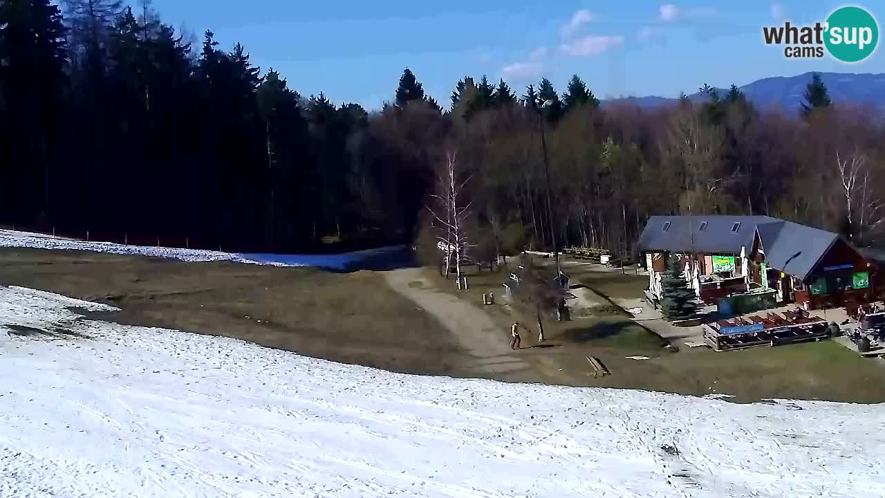 Webcam Pohorje Trikotna Jasa | Poštela