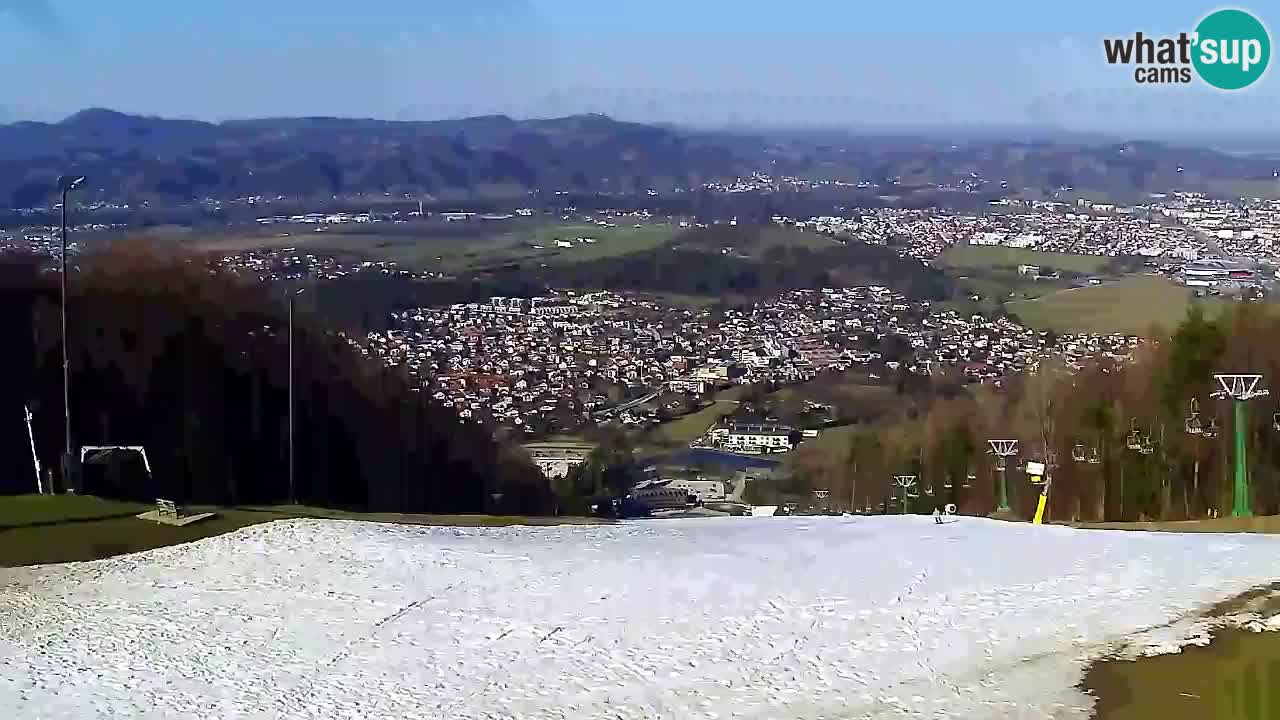 Webcam Pohorje Trikotna Jasa | Poštela