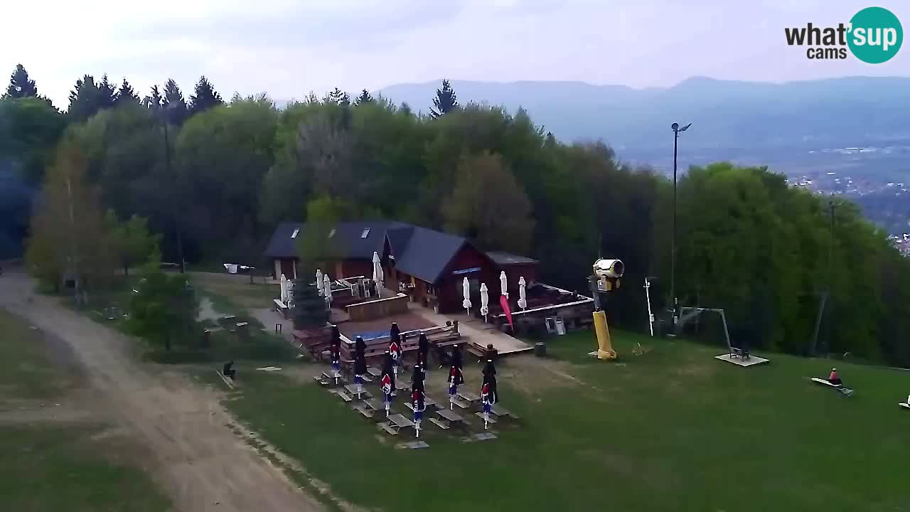 Webcam Pohorje Trikotna Jasa | Poštela